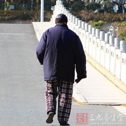 老年人养生这些营养元素少不了