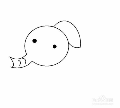 可爱猫头像画法卡通动画