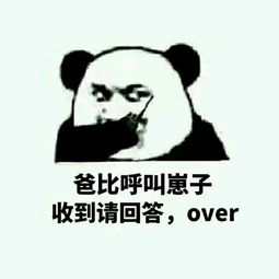 保持日常小火苗搞笑表情包大全