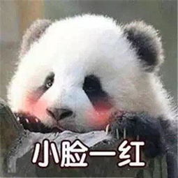 熊猫的表情包请注意你跟老子说话的态度