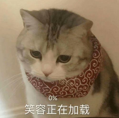 清华毕业生求职信息流出,躺平的年轻人,竞争当保姆都难
