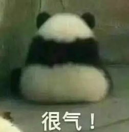 搞笑熊猫表情包家庭作业