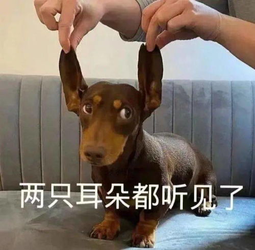 大动作985院校学硕停招专硕成扩招趋势