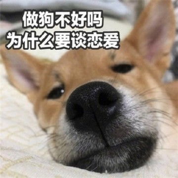 表情包头像搞笑图片带文字的单身狗头像