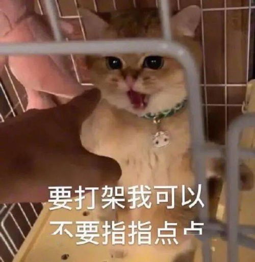 微笑动图表情包9月2日