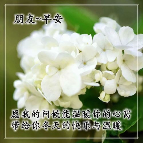 最新emoji表情代码大全11月最新版早上好问候语图片大全,精美的早晨祝福语带图片表情...