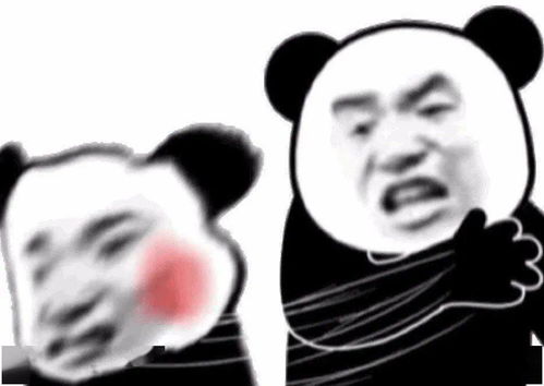 不理我是吧我在线撒网