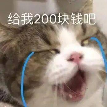 五百年了,谁来救救我丨第181期喵表情