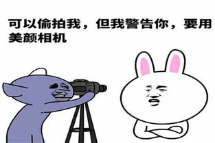 幽默笑话今晚老婆睡客厅的沙发,却让我去和金毛挤一挤