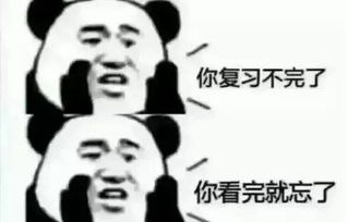 全部人,你的期中考复习秘诀干货资料已到账