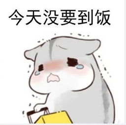 仓鼠要饭表情包