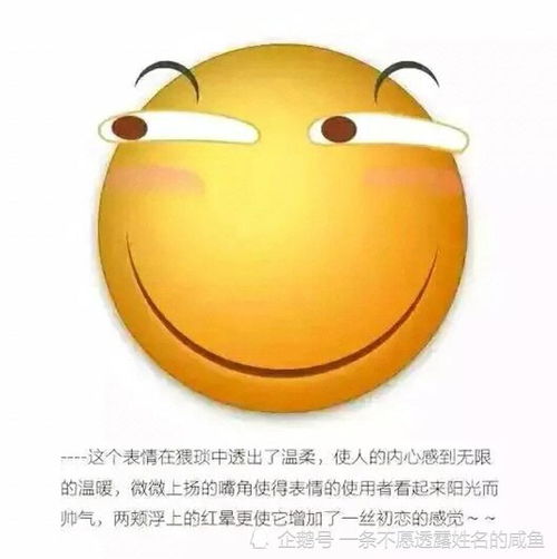 今日笑点我实在看不下去了,对他们说别吵了,我来做个裁判吧