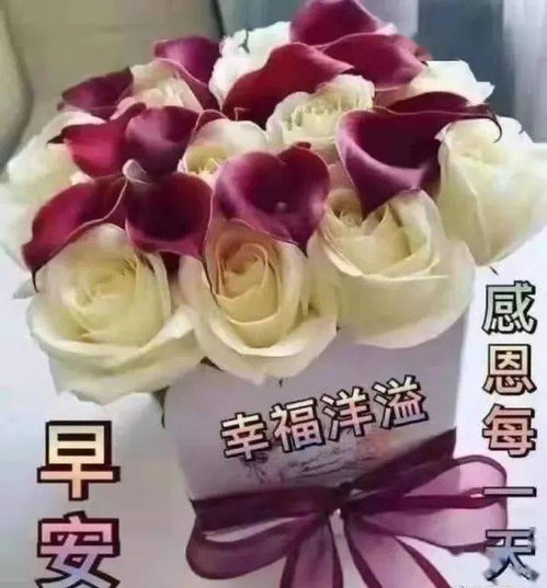 微信群发温馨的早上好问候短信句子最新早上好表情包问候的句子动态图片