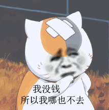职场菜鸟到老司机,都经历了哪些