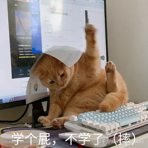 男生喜欢什么鞋子呀推荐一下