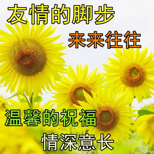 早上好动态表情包问候祝福早安动态图片
