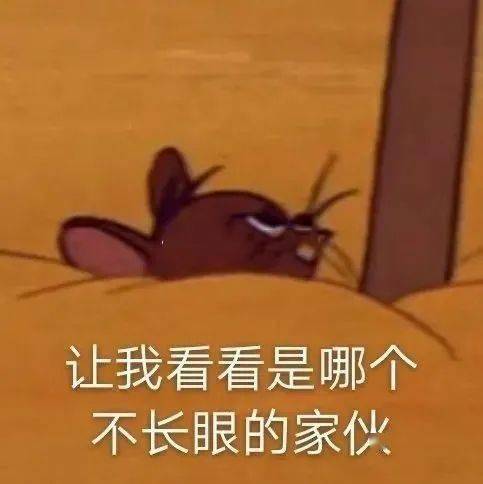 今日份沙雕表情包大全