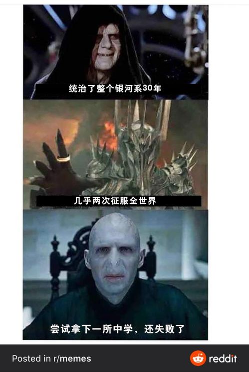 搞笑meme沙雕图片合集5哈利波特中,伏地魔到底有多强