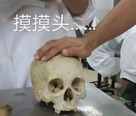 医学生专用表情包,拿走不谢