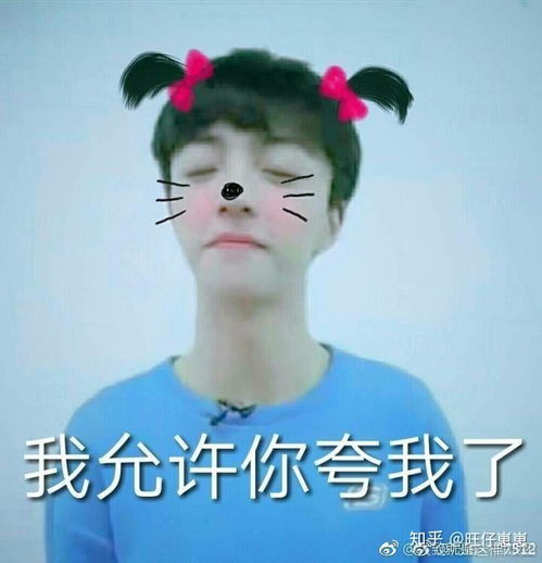 ninepercent的表情包小王子是谁
