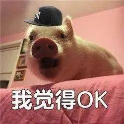 巧学英语核心词汇,让娃也说出地道口语逃逃视频号第12周小结