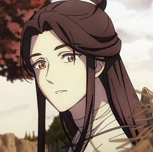 原耽动漫天官赐福,百无禁忌