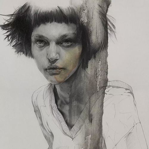 有颜色的素描,画的真美