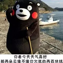不要误解韩国队了,他们不止坑中国人,犯起规来连自己人都拉