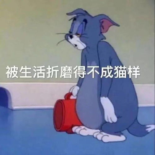 好玩趣味表情包