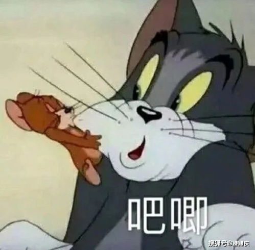 热门表情包图片微信聊天斗图,每张都是经典