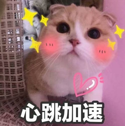 幽默笑话,异地恋,一次她不小心把自己的那个情侣杯打破了