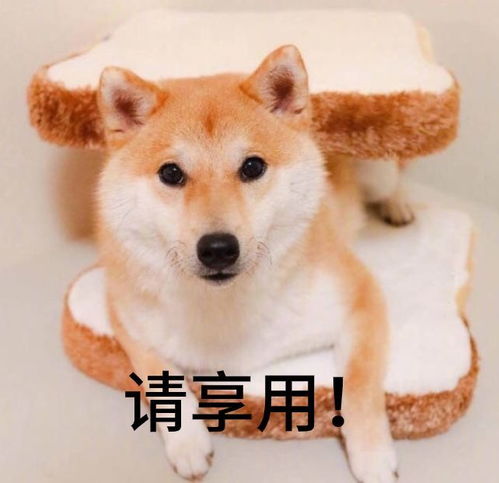 电视黑科技爆发,这次是海信赢了