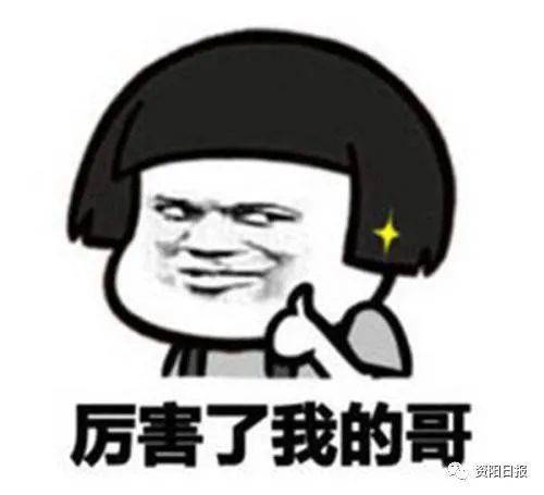 资阳人安岳柠檬石刻与清明节破壁快来查收这组新表情包