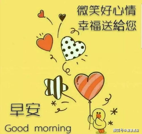 正月十九早上好微信问候语大全,朋友早安表情包大全