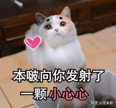 自体脂肪填充之后脸会不会更容易下垂