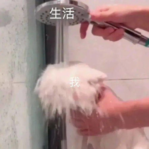 搞笑沙雕表情包