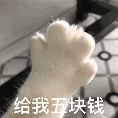 搞笑可爱表情包