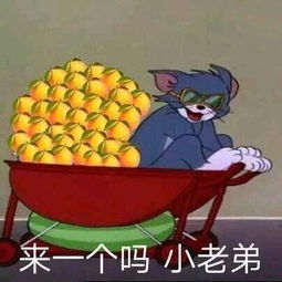 柠檬精的表情包合集不过如此