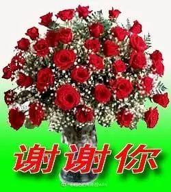 感谢表情包大全,送给喜欢抢红包的你