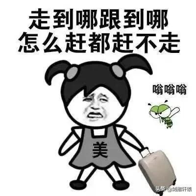 搞笑段子直男们发消息到底能够有多么的敷衍,代入感也太强了吧