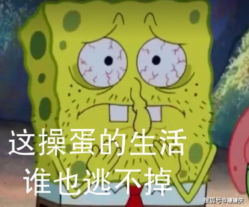 可爱表情包图片我太难了
