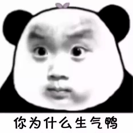 熊猫头表情包i懂了开始烦我了