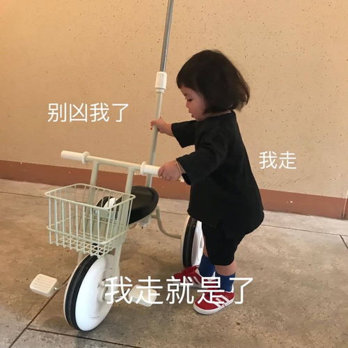 无标题