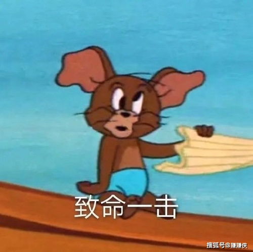 搞笑表情包图片不管你笑不笑,我反正是笑了