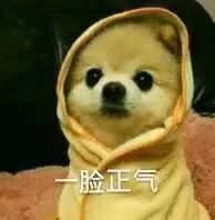 莫松奇生日快乐