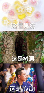 组图刘烨感谢粉丝制作表情包互动网友聊土味情话很搞笑