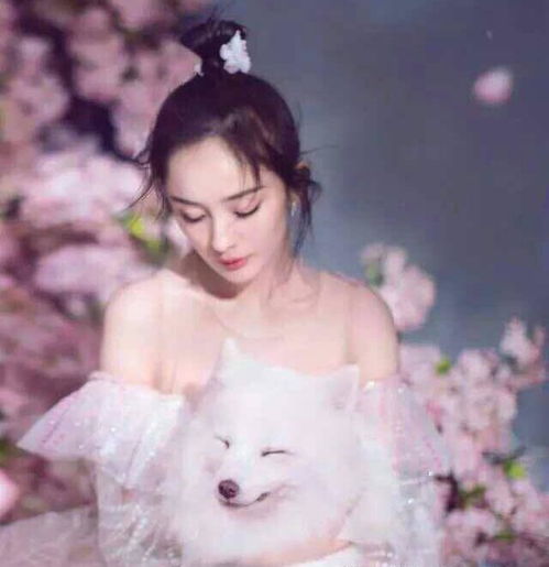 刘亦菲杨幂同登杂志封面,同扮白浅,杨幂却不及刘亦菲的一半美貌