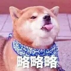 史上最简单易懂的狗狗吃肉科普吃肉,我们是专业的