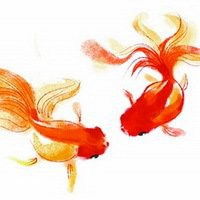 好看金鱼微信头像微信头像图片大全

