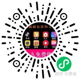 抖音快手微视去水印小程序全网短视频无水印免费下载工具